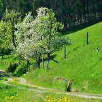 Aigner Appartement Allhartsberg
