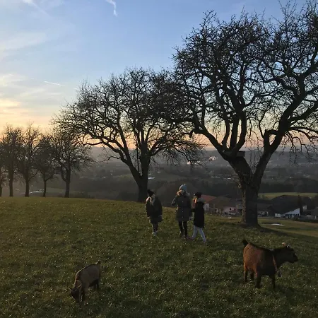 Lejlighed Aigner Allhartsberg