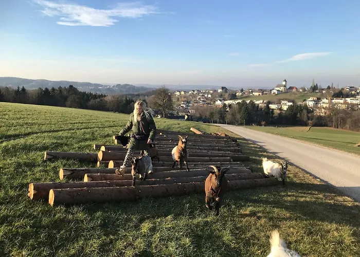 Aigner * Allhartsberg