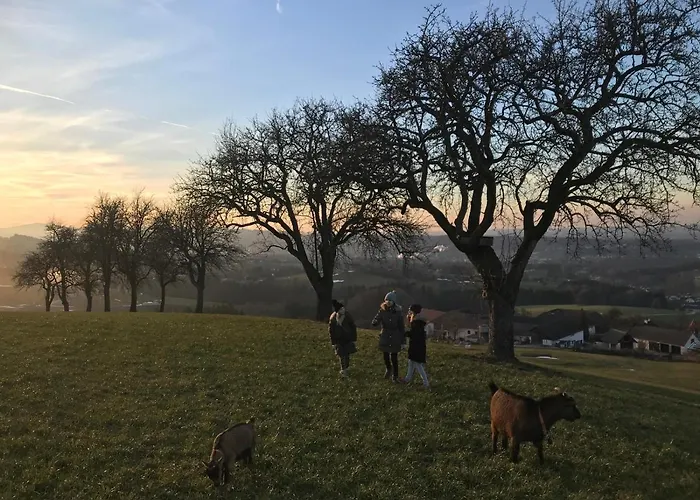 Apartament Aigner Allhartsberg