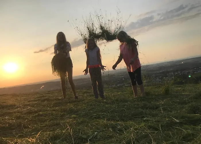 Aigner * Allhartsberg