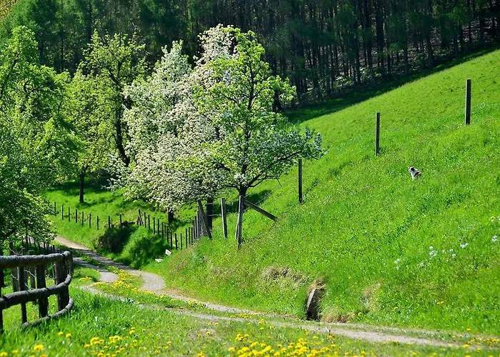 Aigner Apartment Allhartsberg
