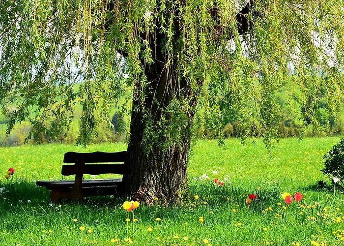 Aigner * Allhartsberg